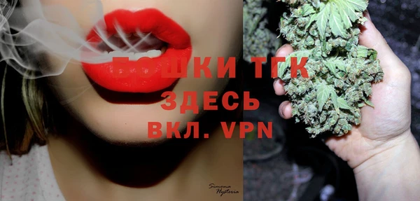 прущий лед Инсар