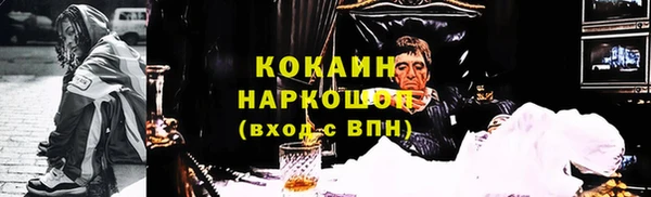 прущий лед Инсар