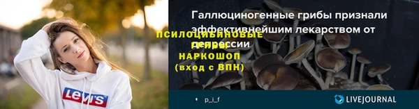 прущий лед Инсар