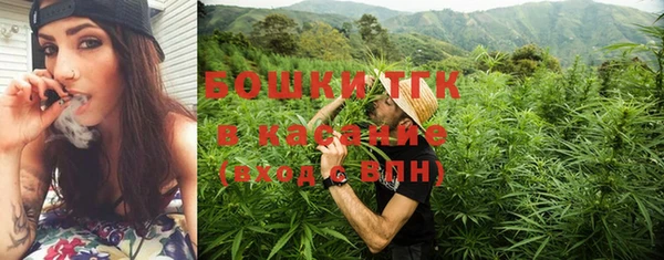 прущий лед Инсар