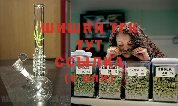 прущий лед Инсар
