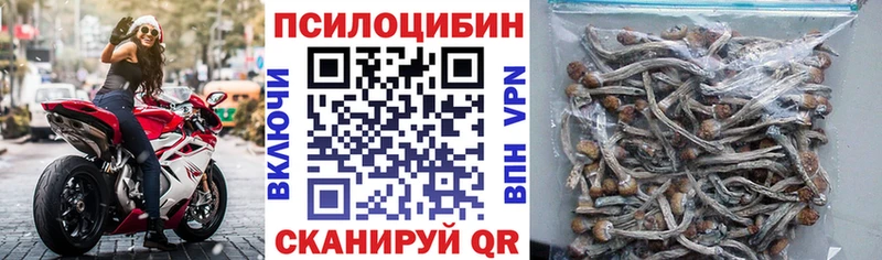 Псилоцибиновые грибы MAGIC MUSHROOMS  Купить где  Зверево 